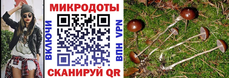 Галлюциногенные грибы мухоморы  купить наркотик  Дрезна 